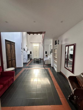 Dionigi suite